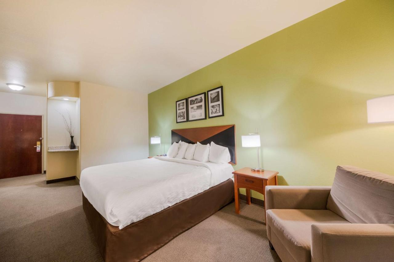 Surestay Plus Hotel By Best Western Near Seaworld Сан Антонио Екстериор снимка